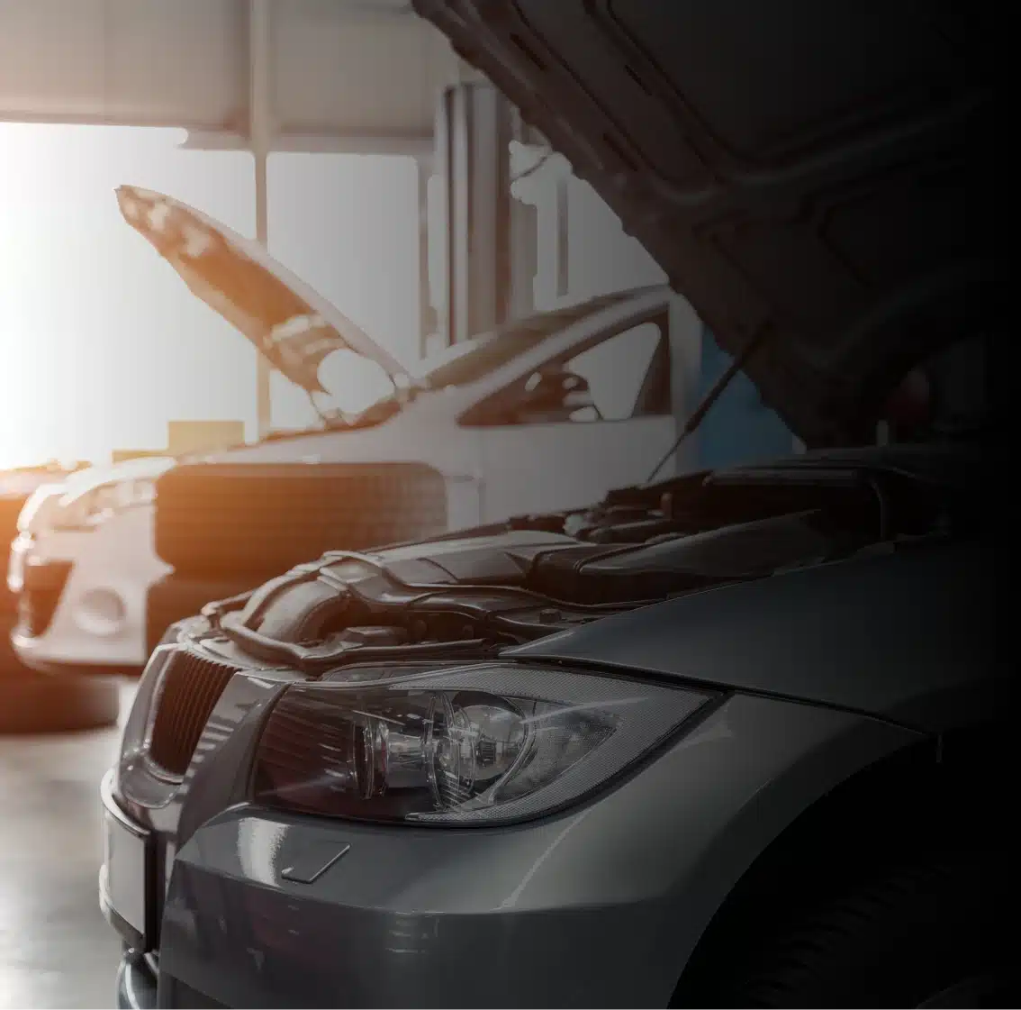 Three cars in a workshop with their hoods open, suggesting they are being inspected or repaired. Sunlight shines through windows in the background, illuminating the front ends of the vehicles.